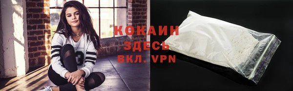 винт Гусь-Хрустальный