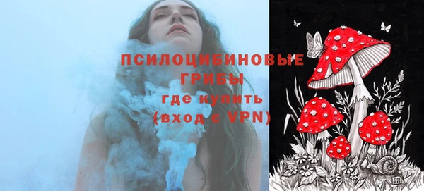 ПСИЛОЦИБИНОВЫЕ ГРИБЫ Гусиноозёрск